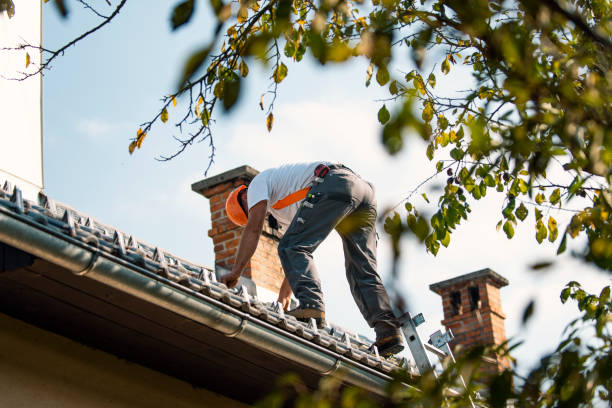 Best New Roof Installation  in Merryville, LA