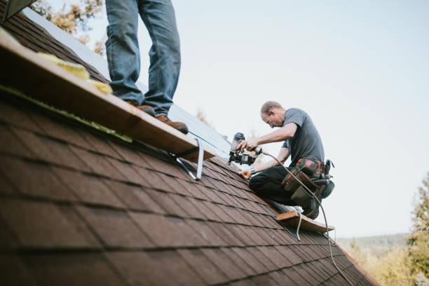 Best Gutter Installation and Roofing  in Merryville, LA